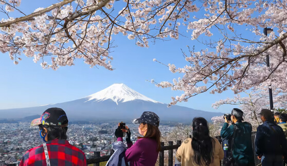 open trip japan - nice holiday